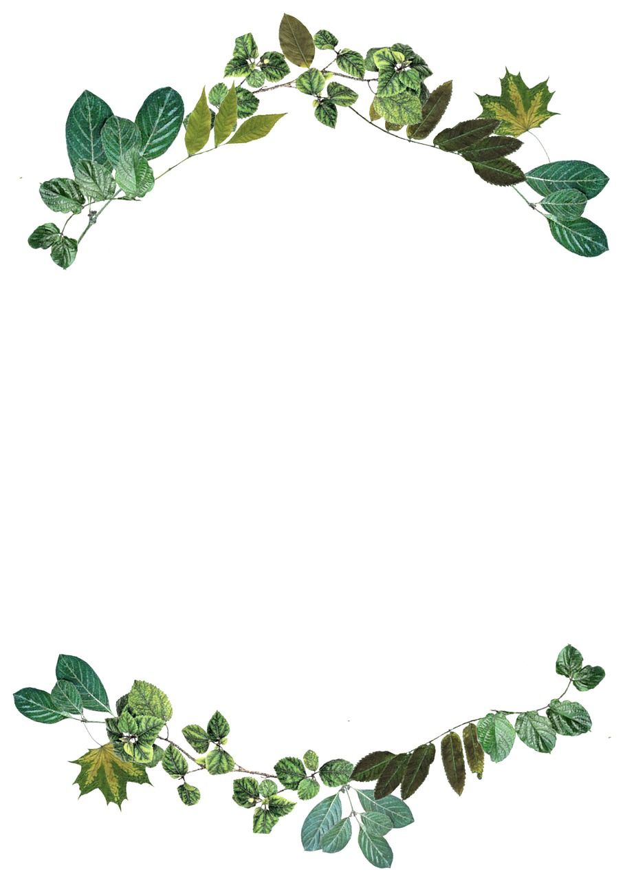 nature clipart frame