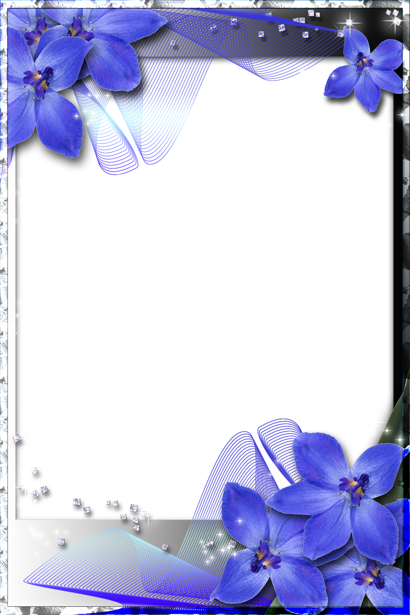 frame clipart orchid