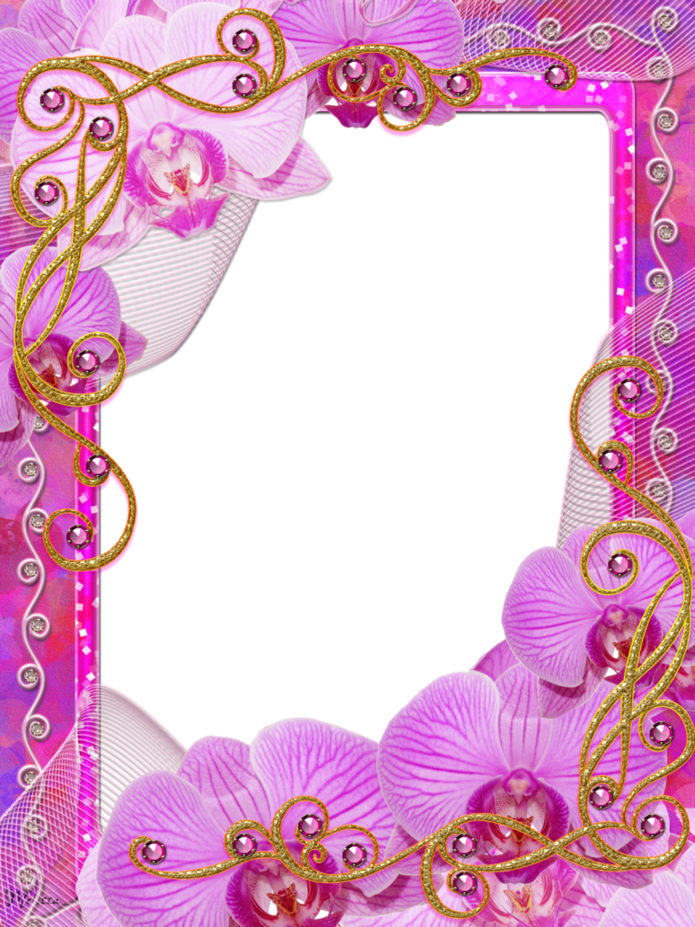 frame clipart orchid