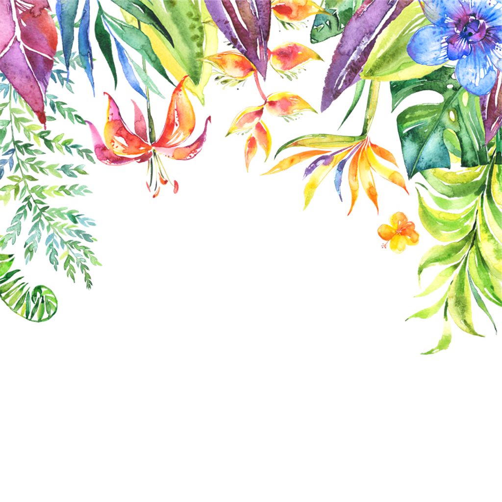 tropical border png tropical border png transparent free for download on webstockreview 2020 tropical border png tropical border