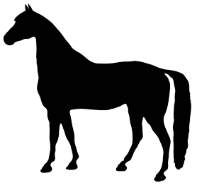 frames clipart horse