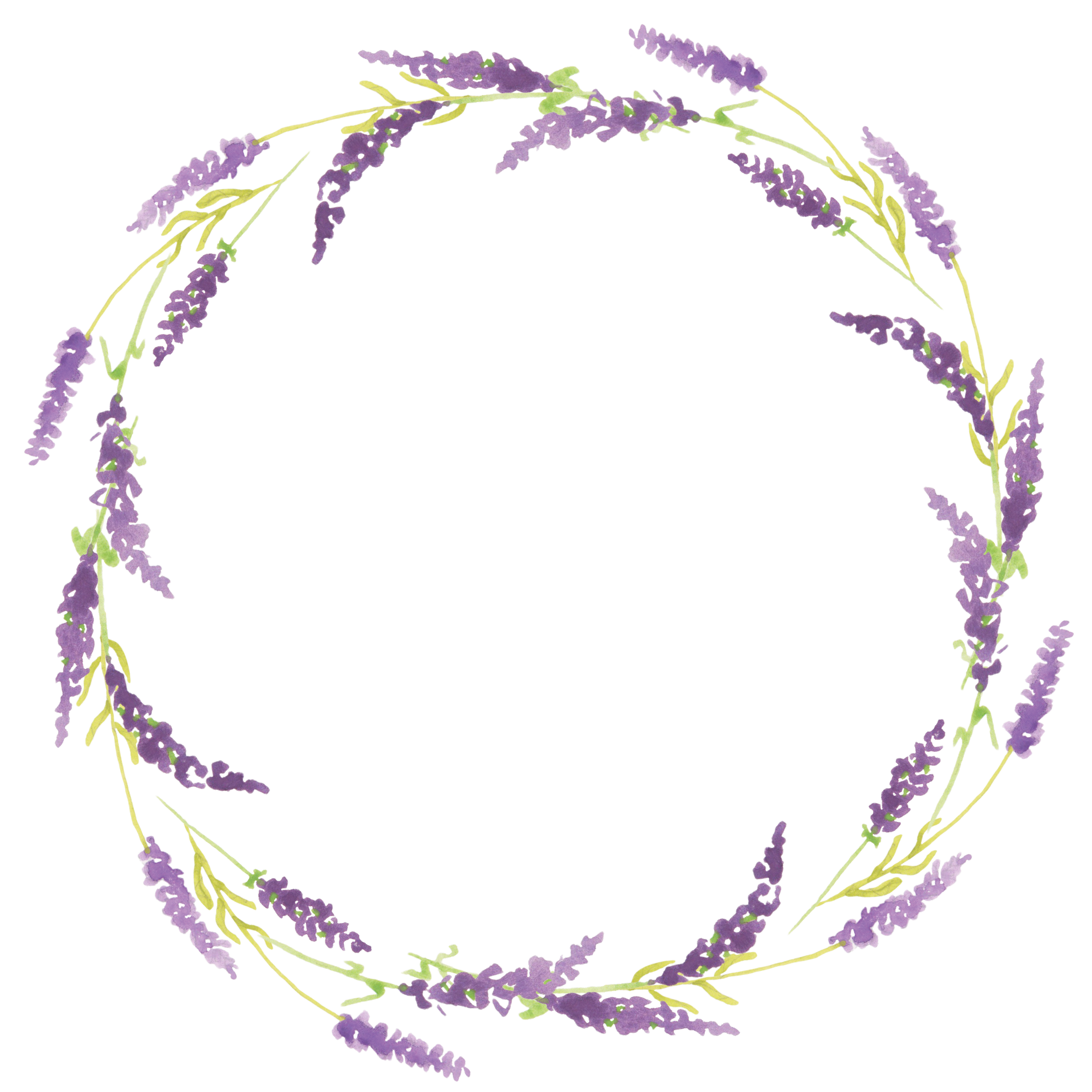 frames clipart lavender