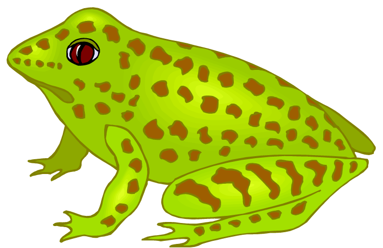 I love polka dots. Free clipart frog