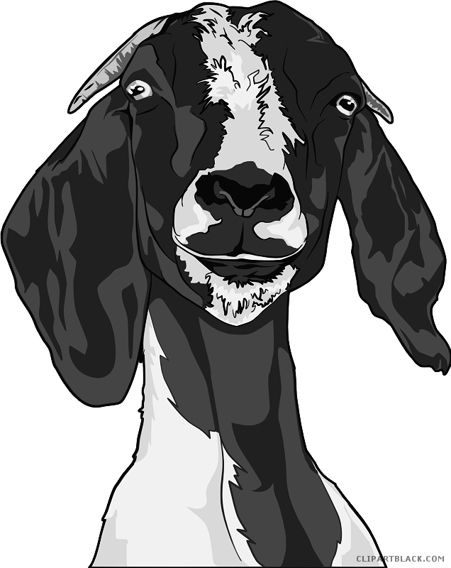 free clipart goat