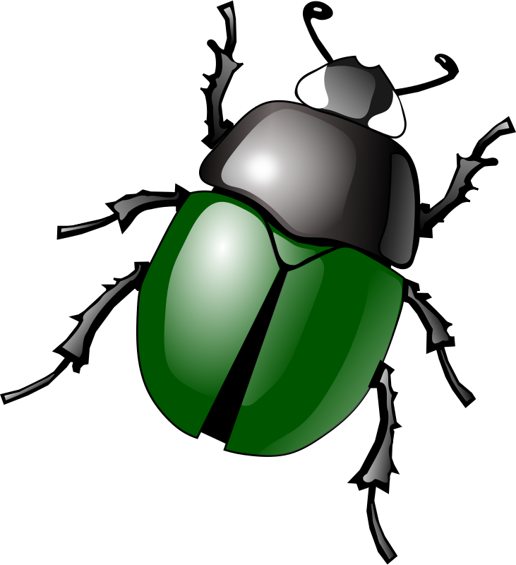 insect clipart vintage