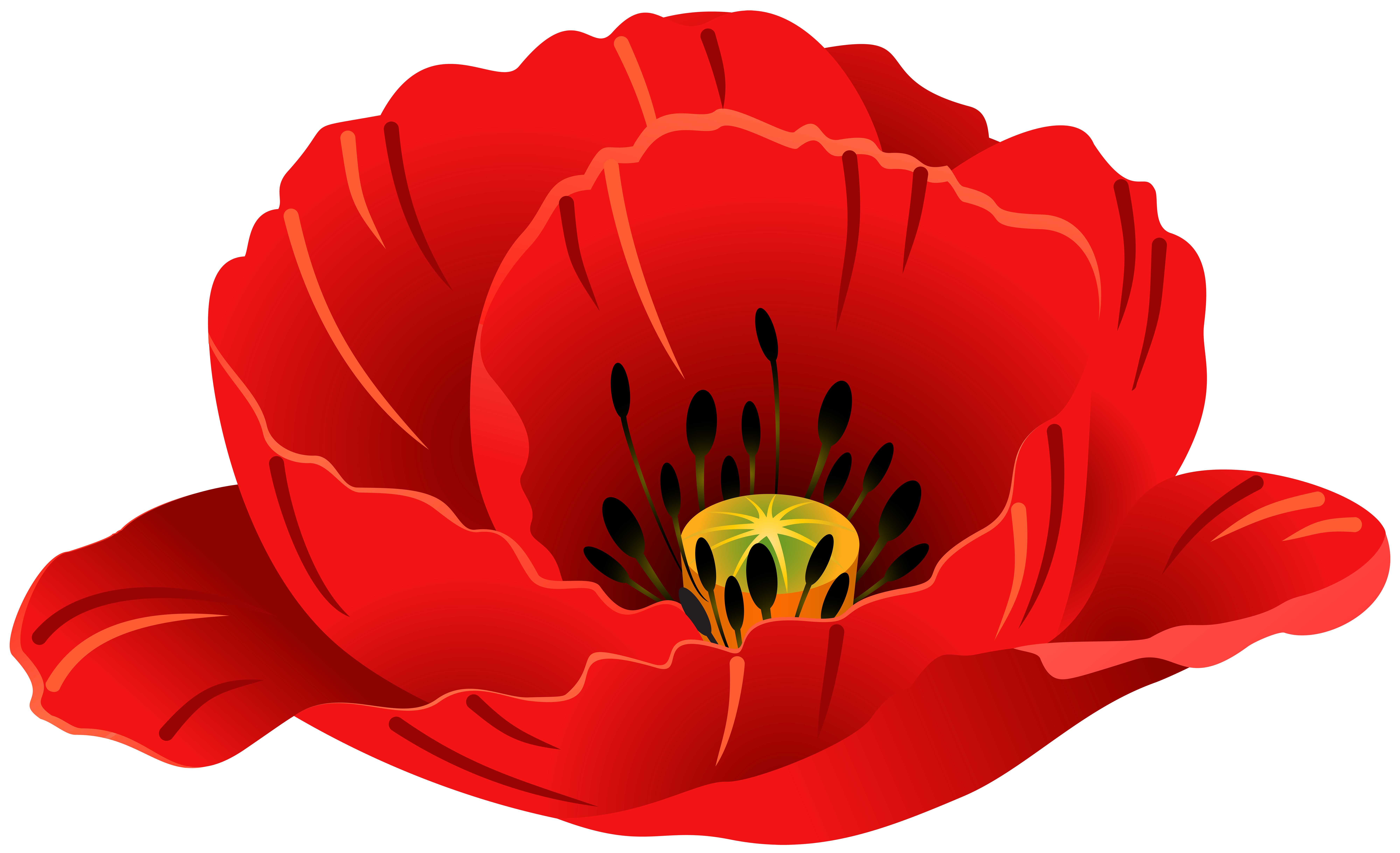 poppy clipart large