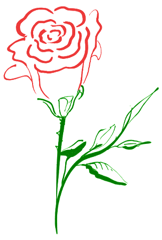 rose clipart bloom