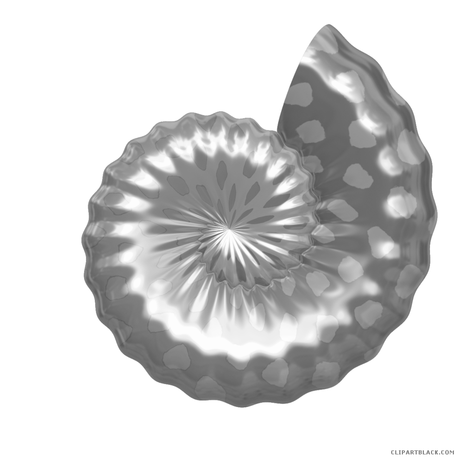 Page of clipartblack com. Free clipart seashell