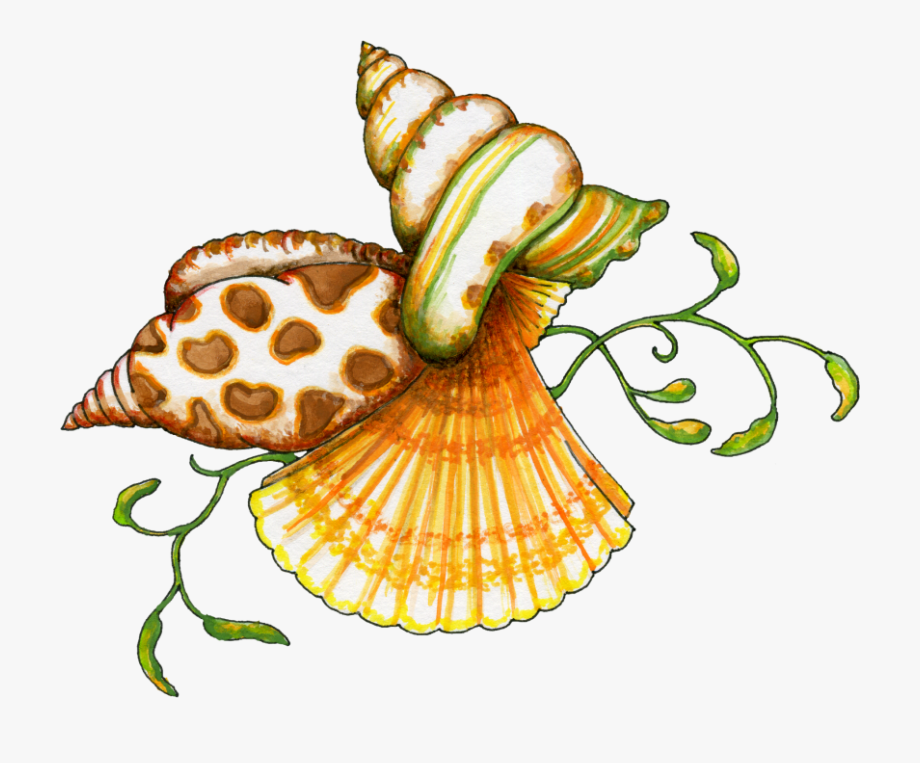 Seashell shell clip art. Pearl clipart shellclip