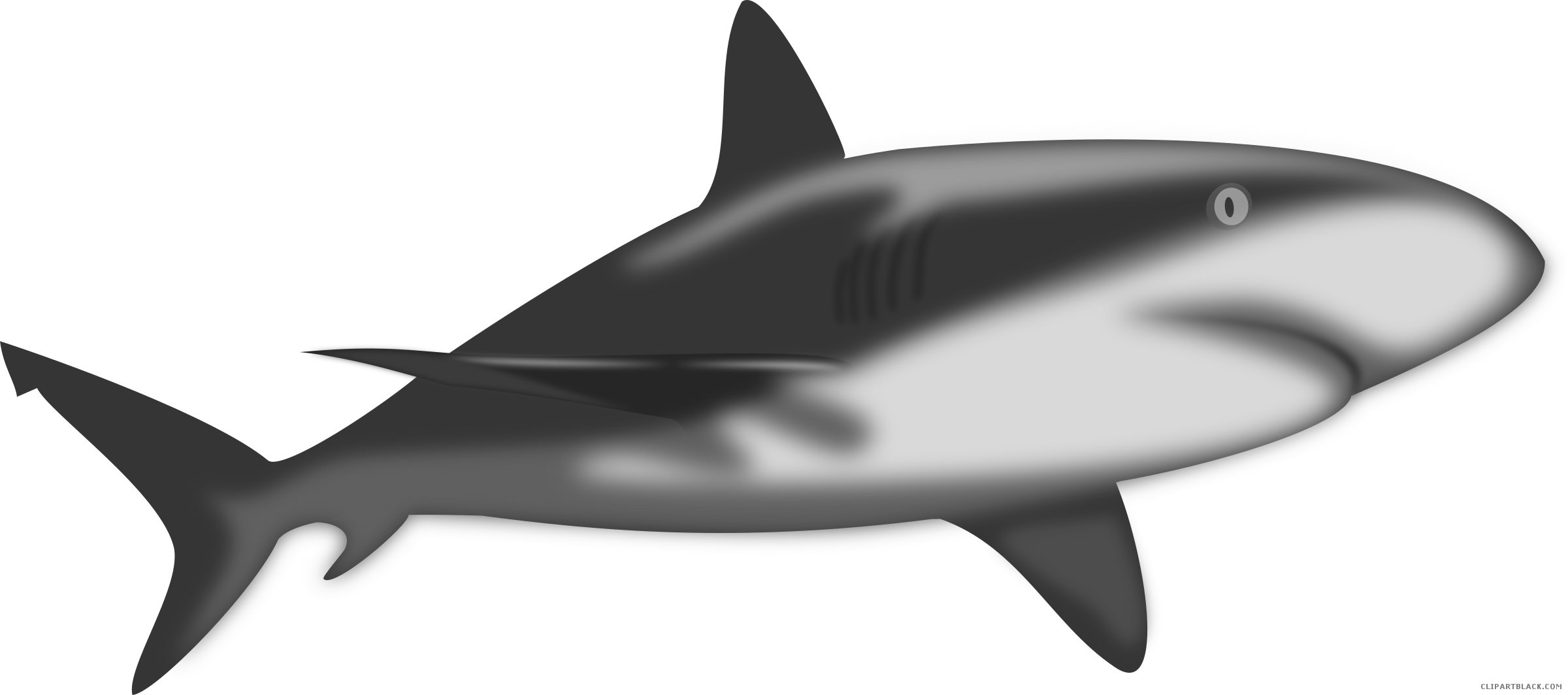 free clipart shark