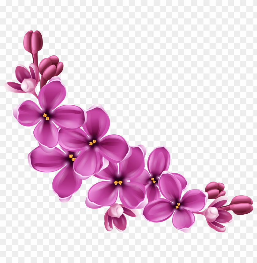 Flowers images toppng transparent. Free flower png