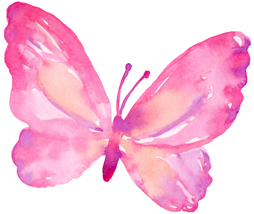Pink butterfly transparent download. Free png files