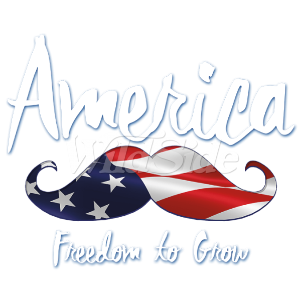 freedom clipart freedom american