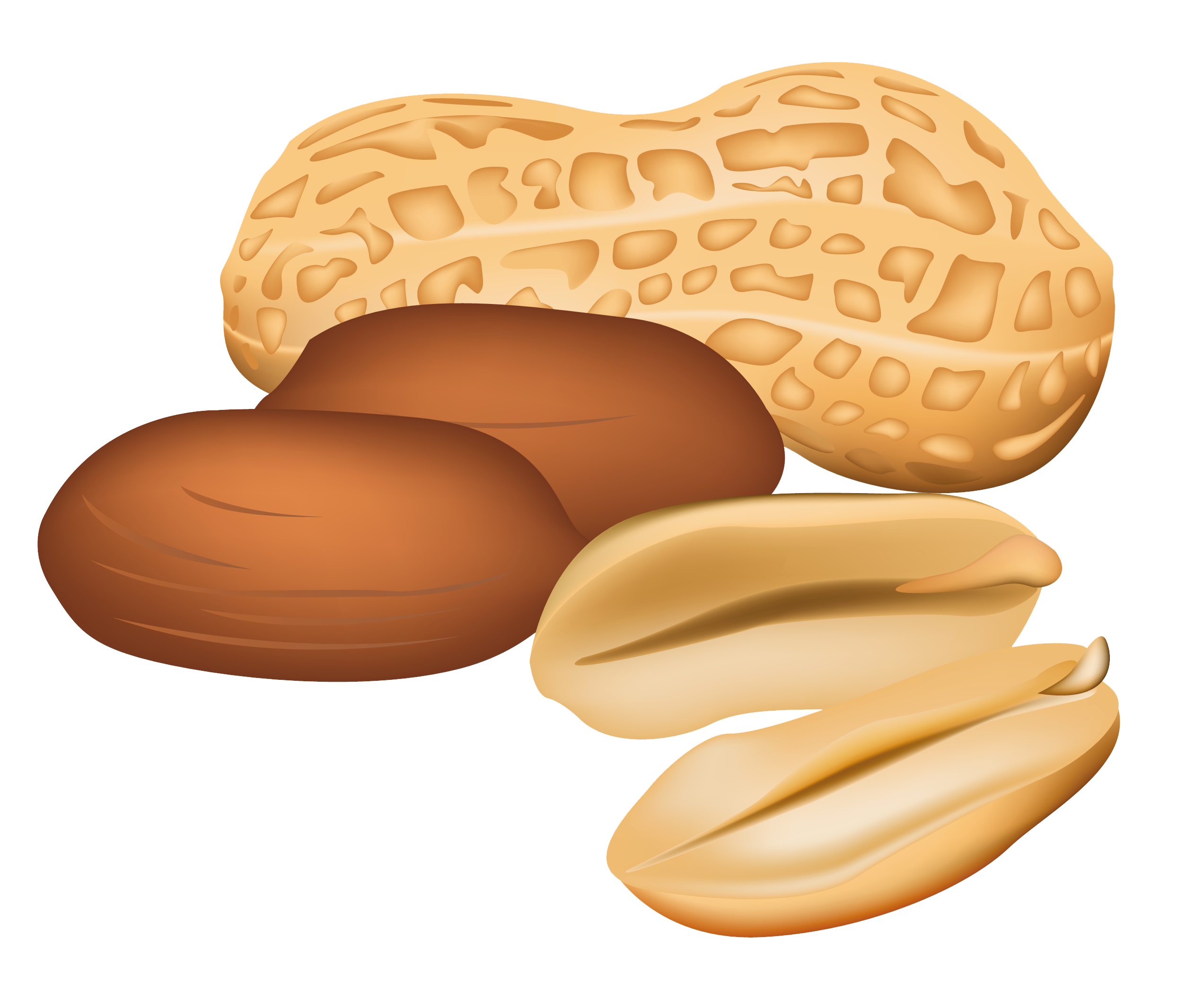 Peanut Clipart Monday Peanut Monday Transparent FREE For Download On 