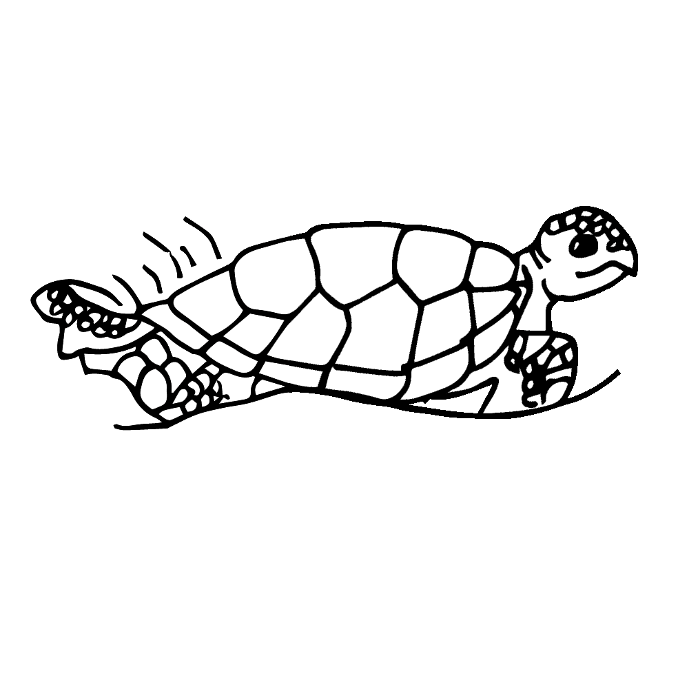 frog clipart turtle