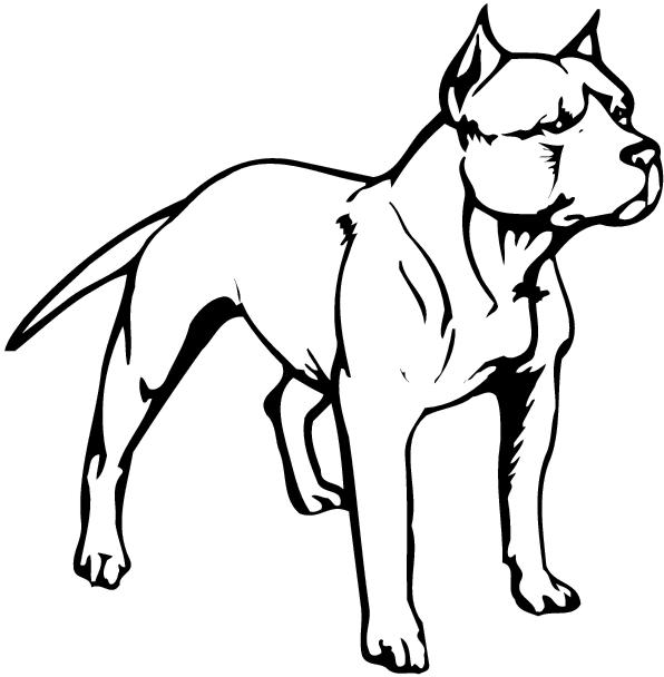 pitbull clipart outline