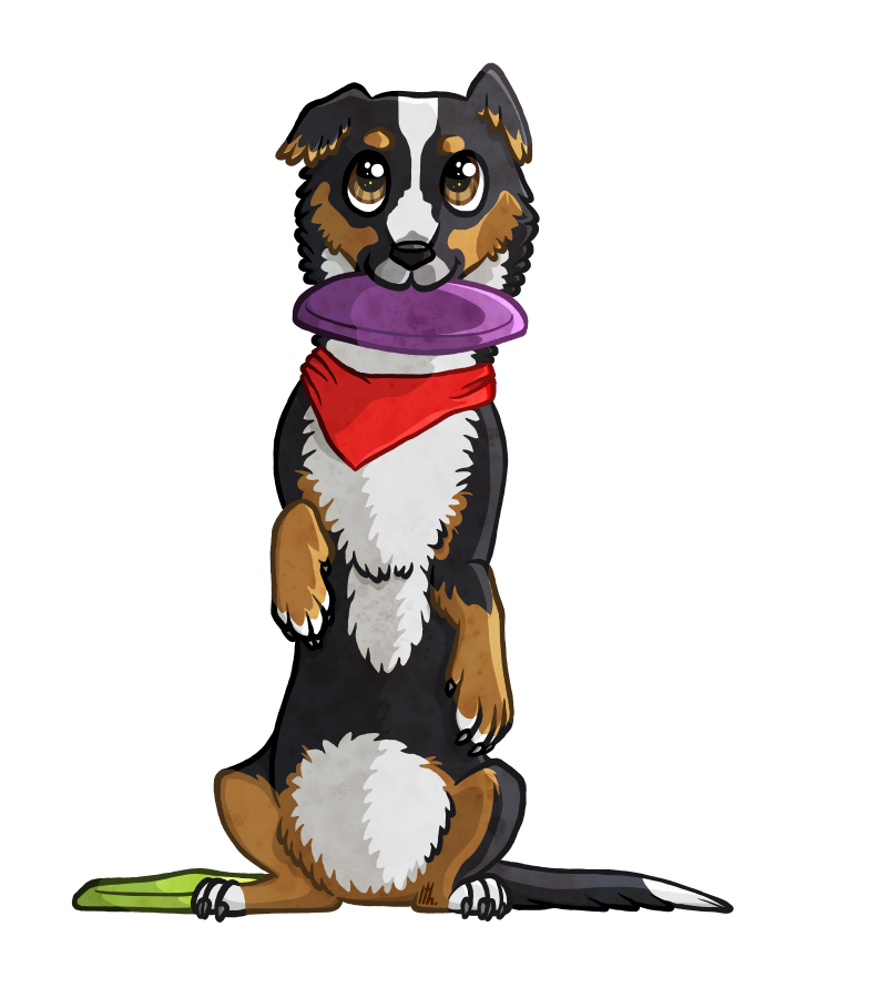 frisbee clipart border collie