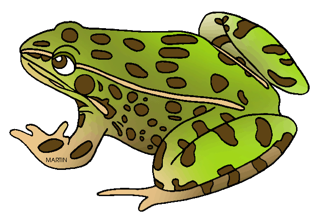 Frog clipart amphibian. Free cliparts amphibians download