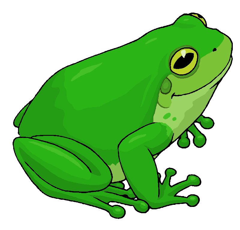frog clipart froggy