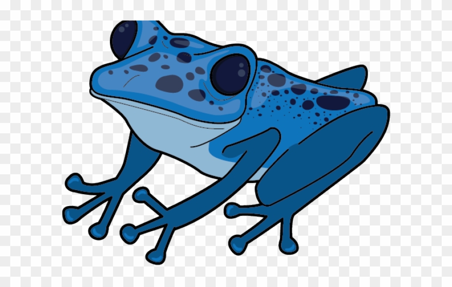 frogs clipart poison dart frog