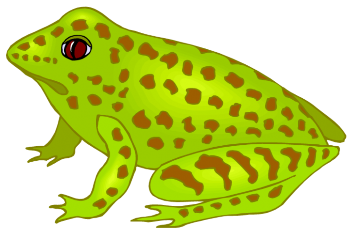 frog clipart thanksgiving