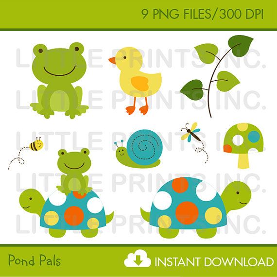 frog clipart turtle