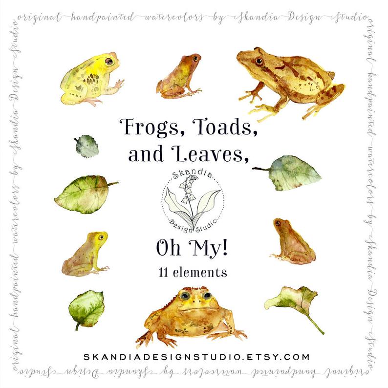 frog clipart woodland