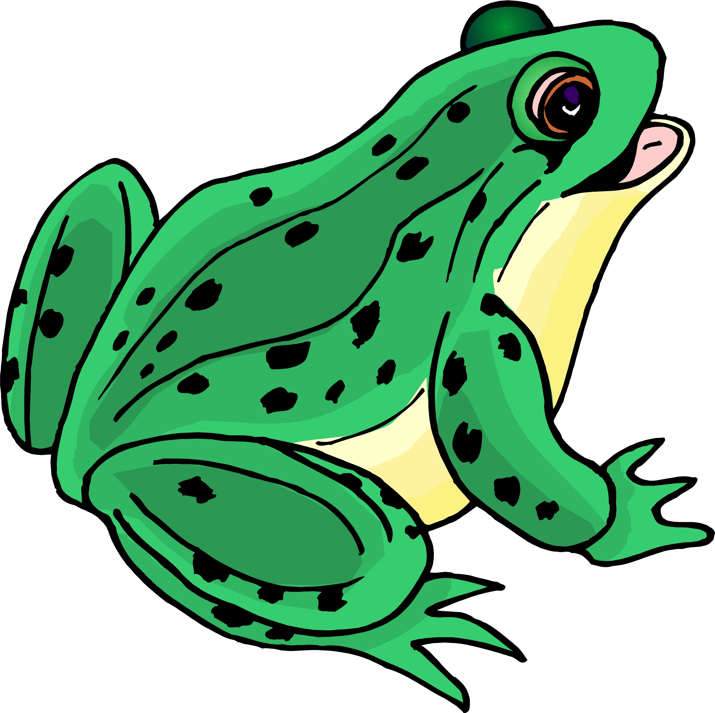 frogs clipart cartoon