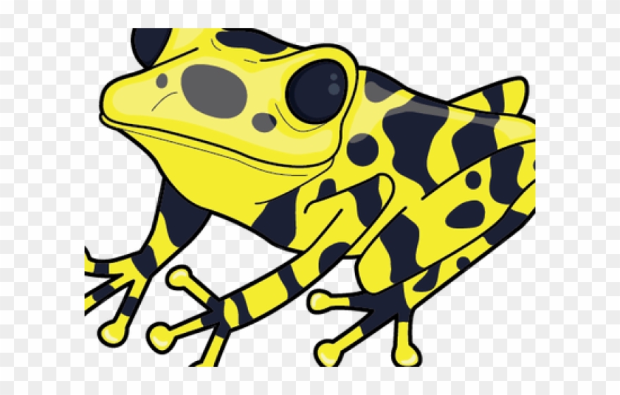 frogs clipart poison dart frog