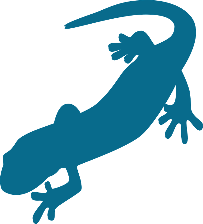 Frogs clipart silhouette. Free image on pixabay
