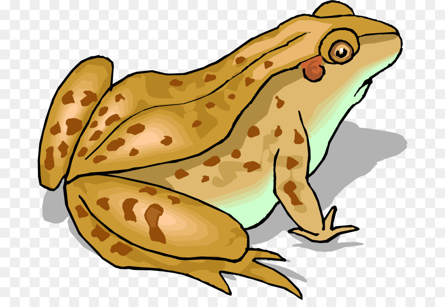 toad clipart magic