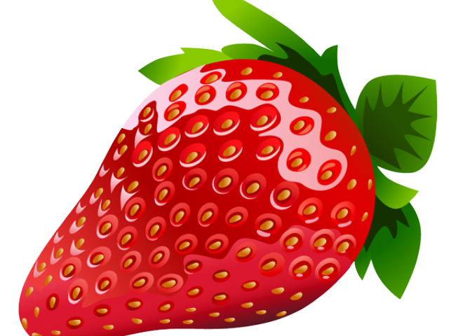 holiday clipart berry
