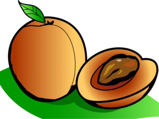 fruit clipart chikoo