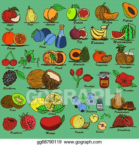 Fruits clipart colored. Vector art hand drawn