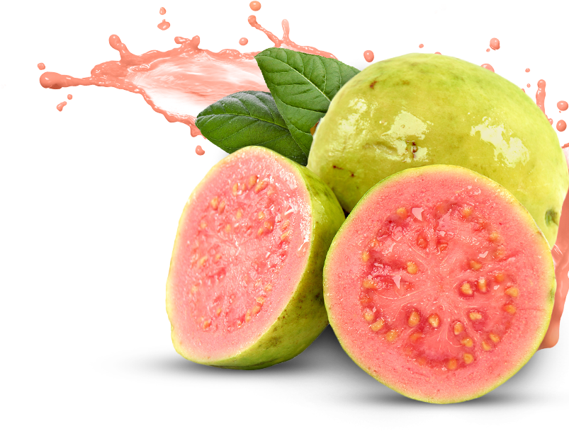 fruit clipart guava