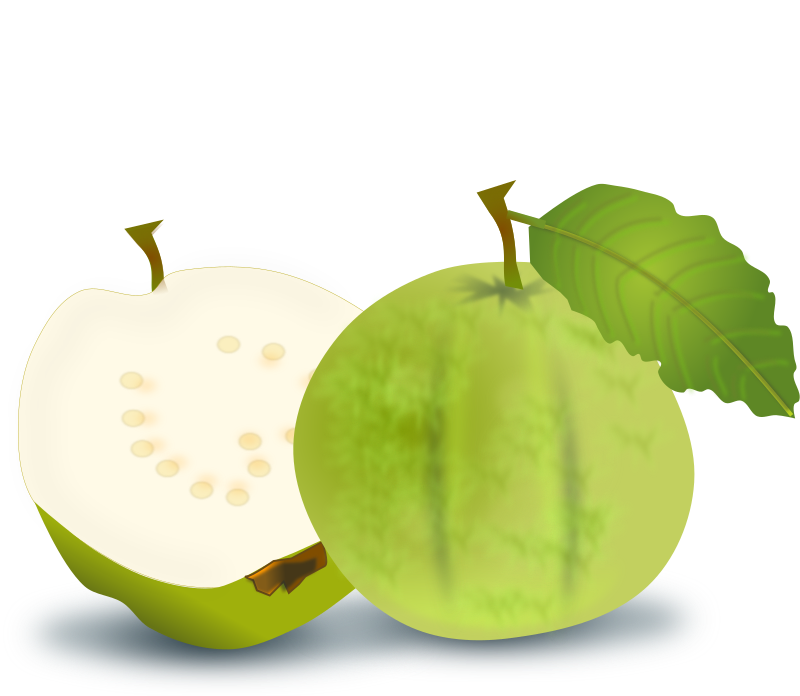 green clipart guava