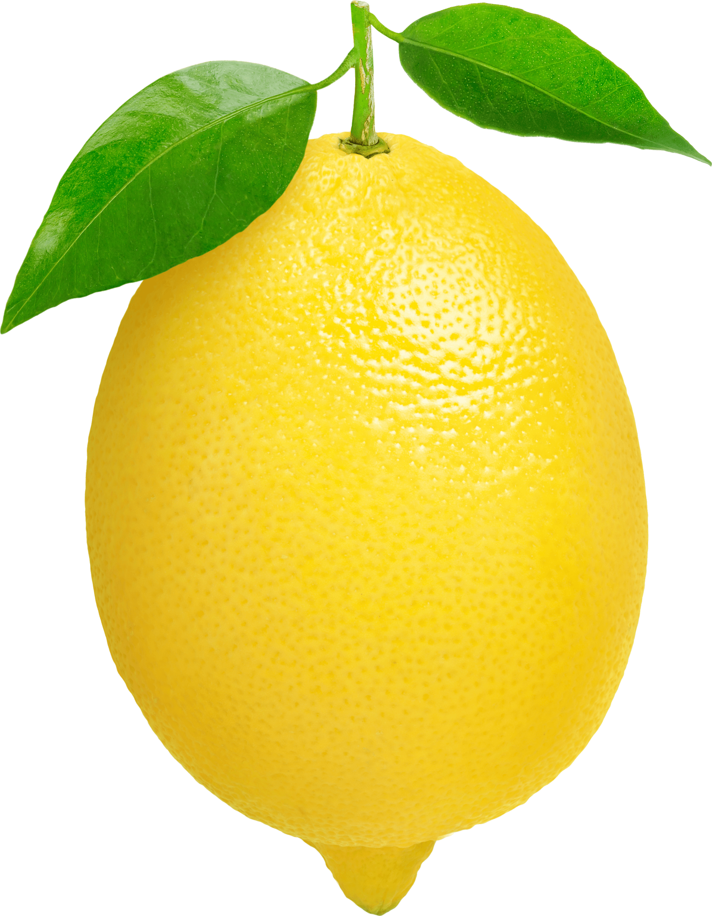 fruits clipart lemon