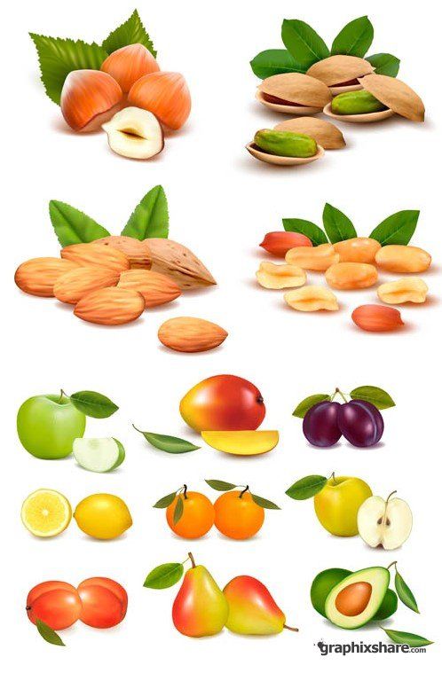 nuts clipart fruit
