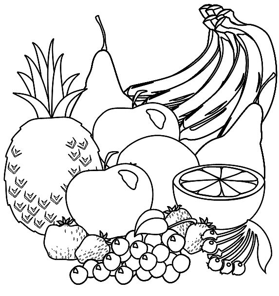 fruits clipart outline