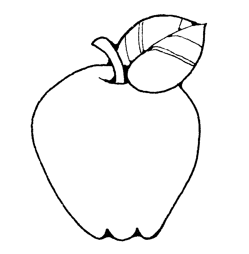 fruits clipart outline