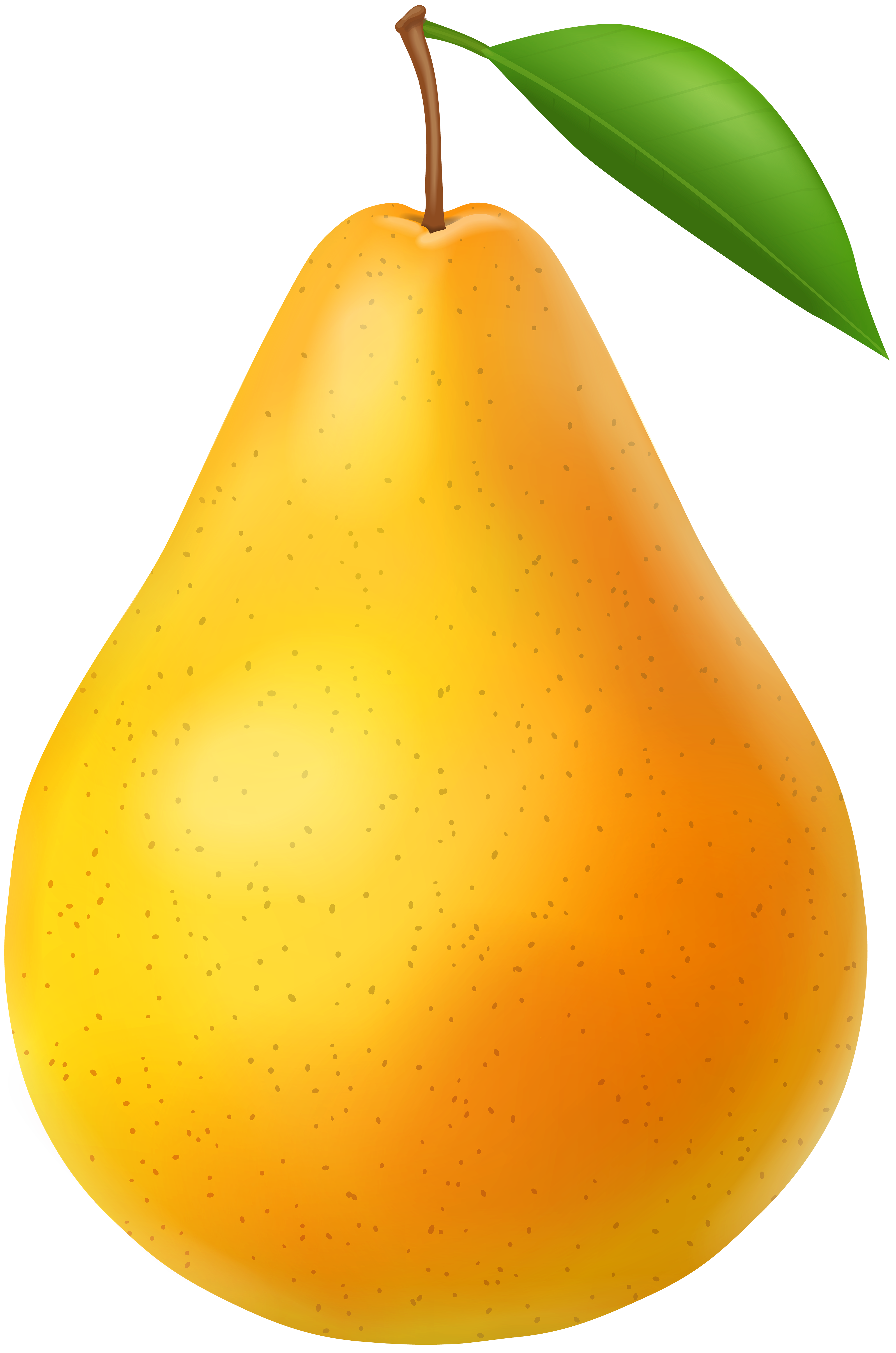 pear clipart transparent background