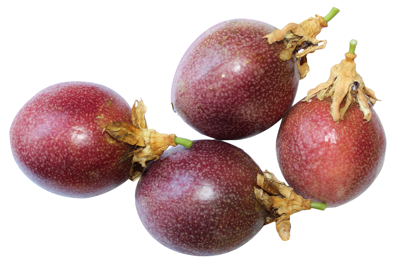 fruit clipart passion fruit