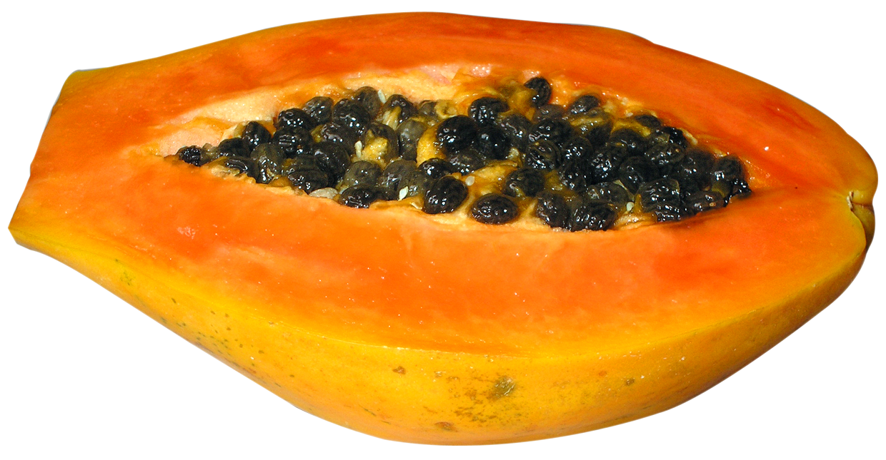 Half cut papaya png. Fruit clipart paw paw