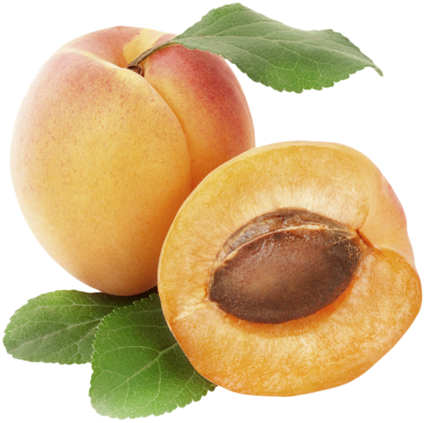 Fruit clipart peach. Apricot png picture ovocie