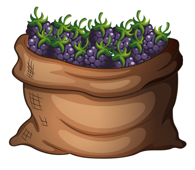  png blueberry clip. Fruit clipart picnic