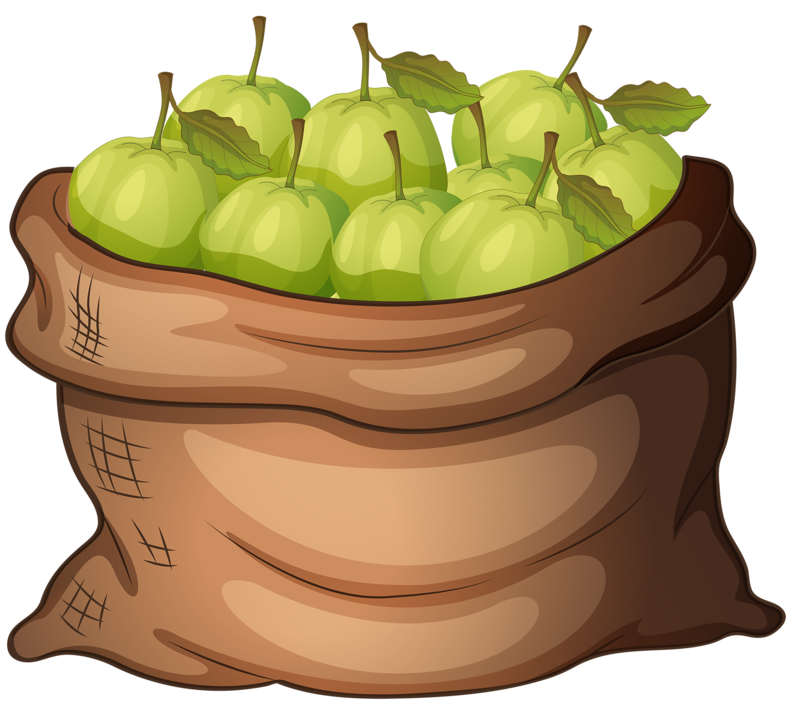  png apples clip. Fruit clipart picnic