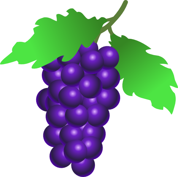 fruit clipart purple fruit