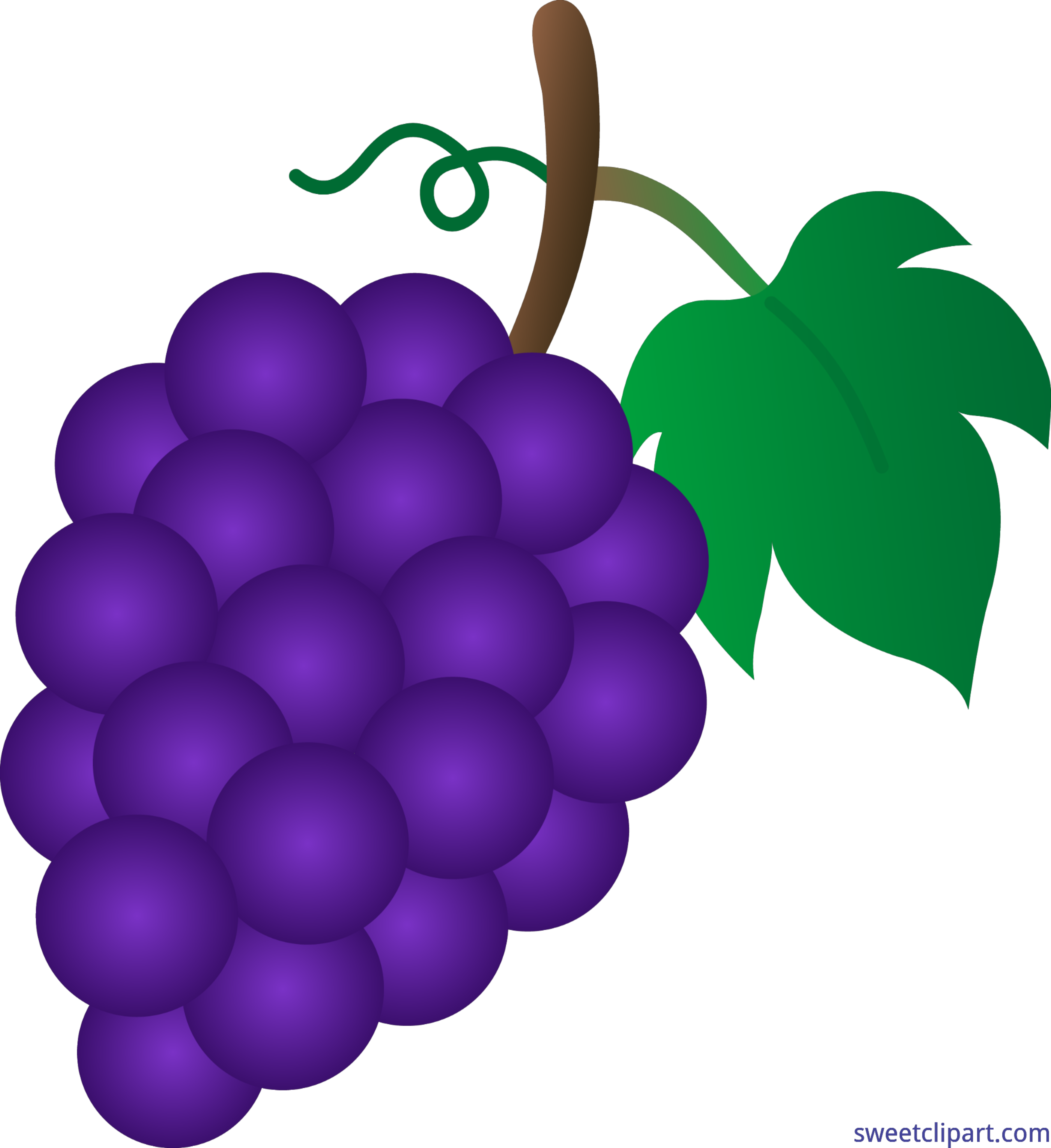 Grapes at getdrawings com. Grape clipart fruit