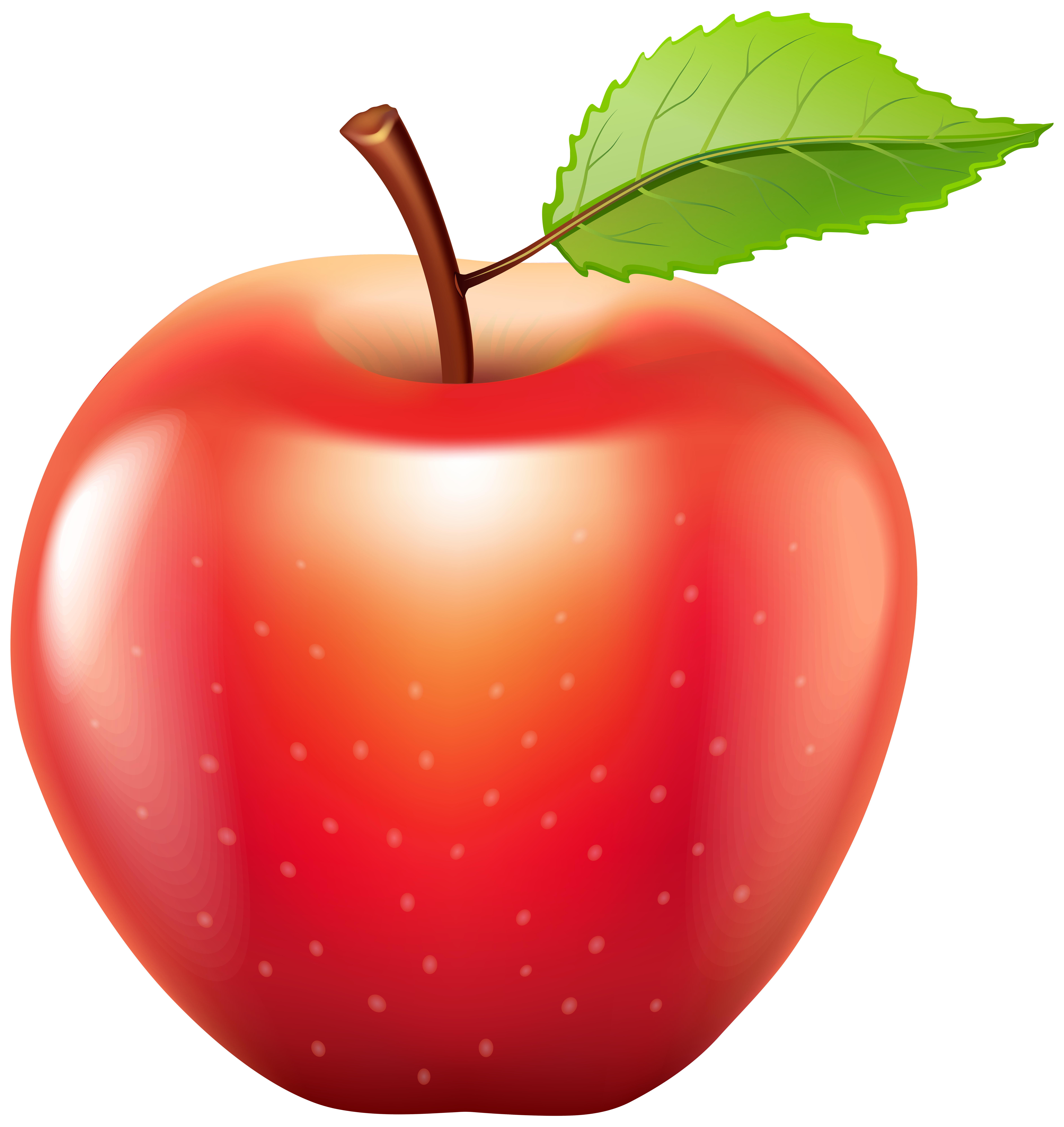 Fruit clipart time. Pin by mary on