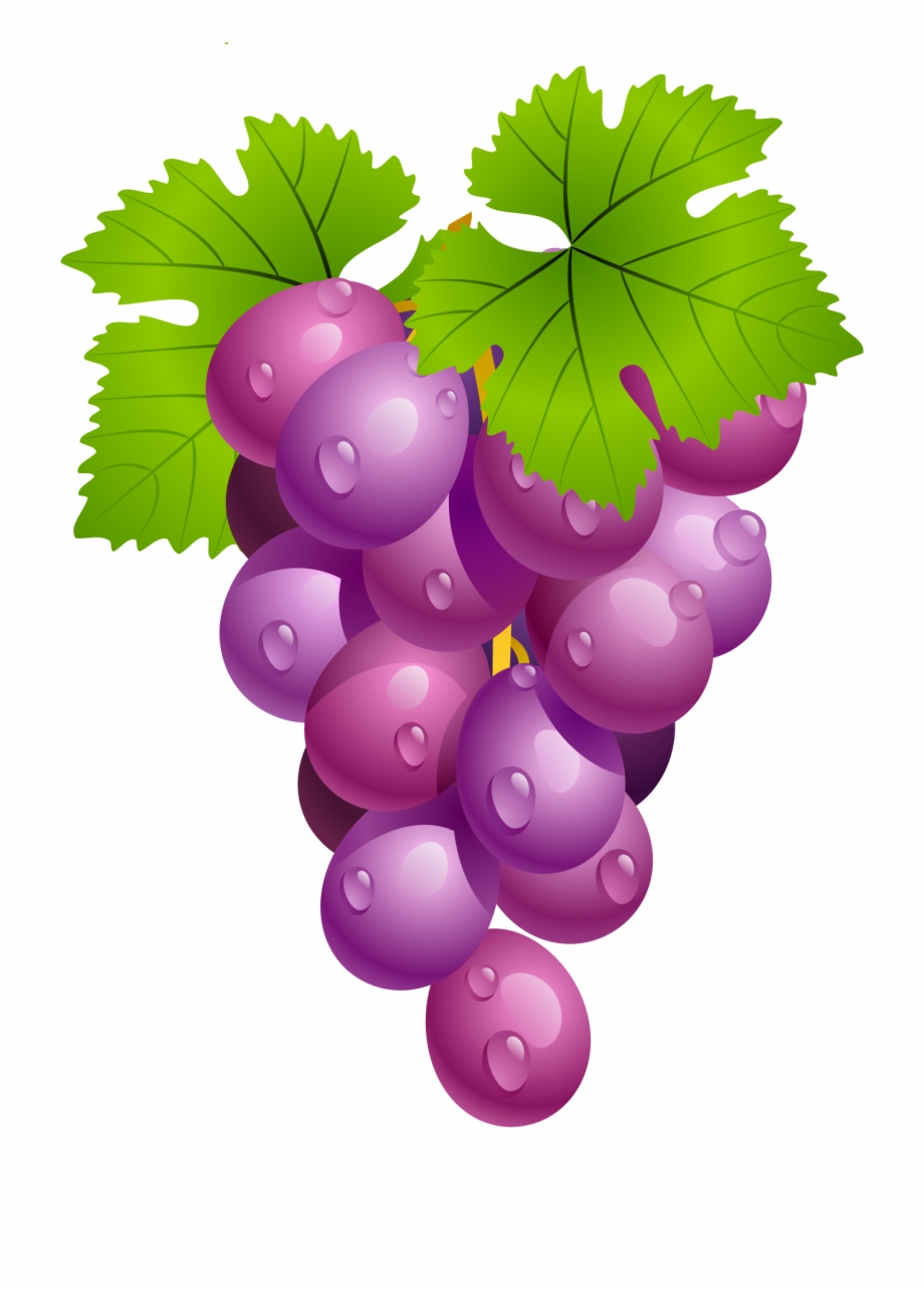 grape clipart pink fruit